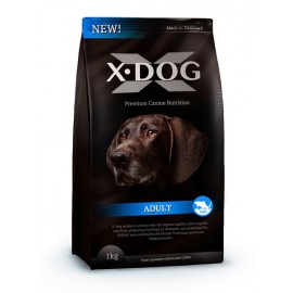 X-DOG Adult with fish